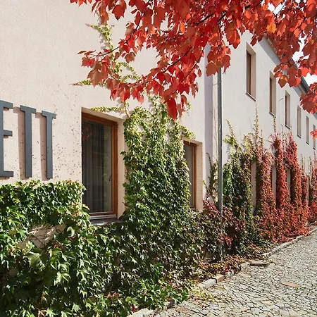 Otel Cett 3*